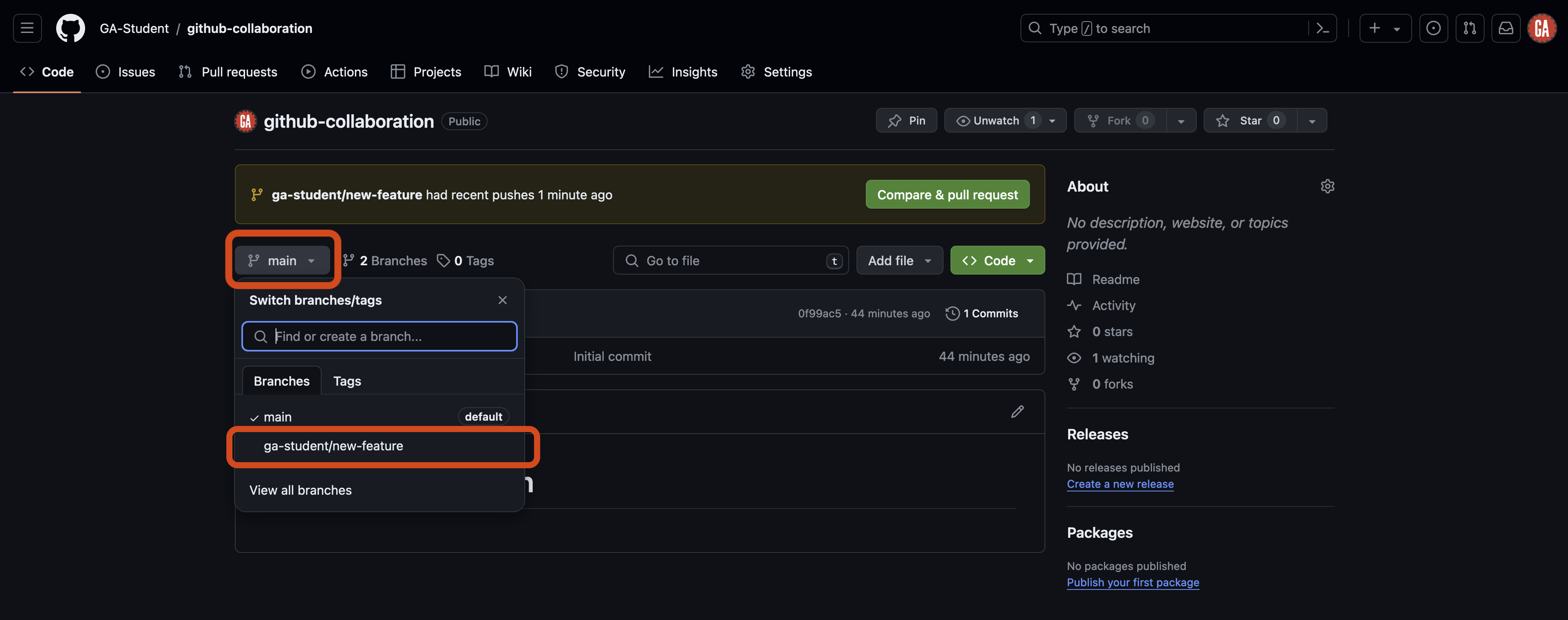 A repo on GitHub with multiple branches.