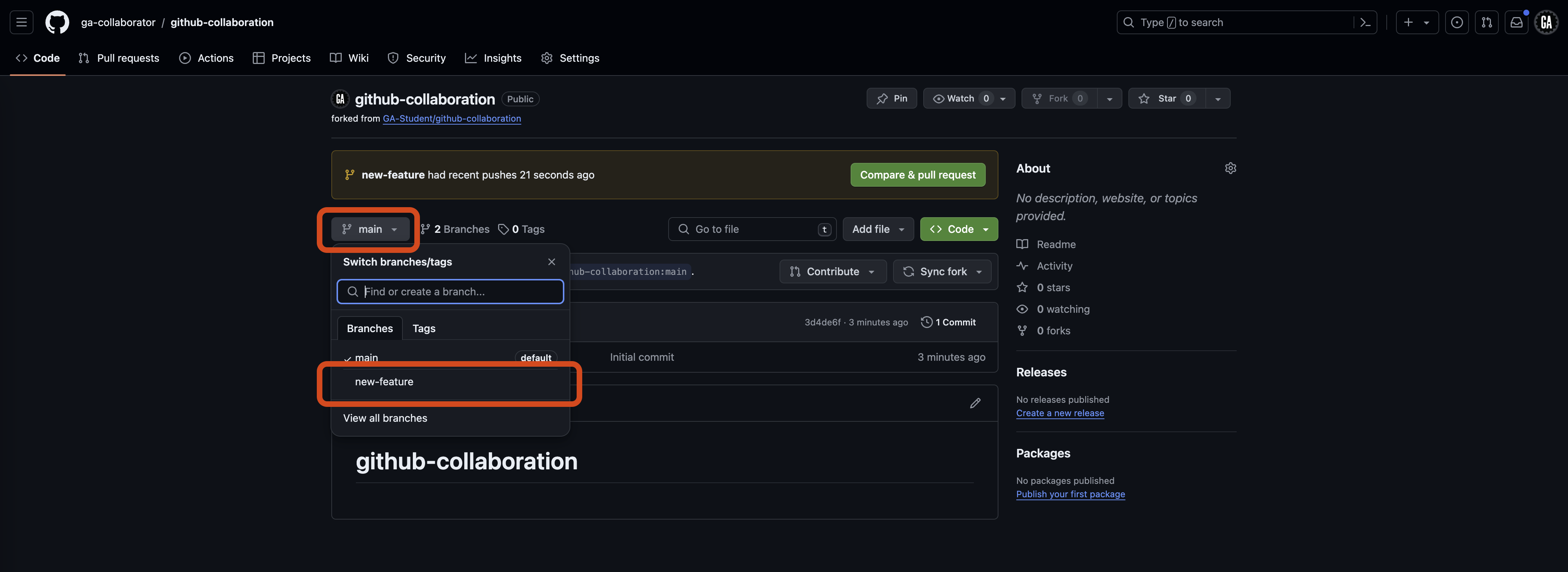 A repo on GitHub with multiple branches.