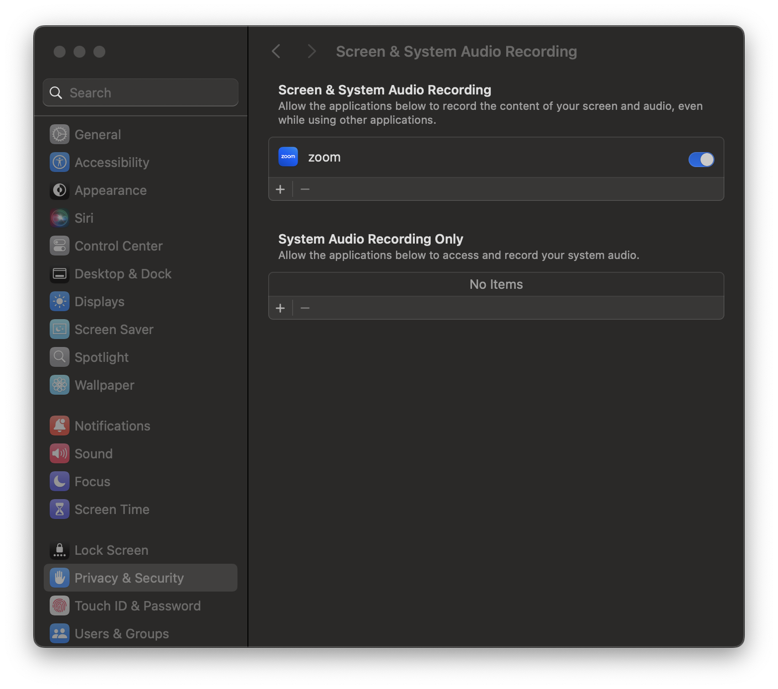 The Privacy & Security pane, after Zoom has been given the appropriate system permissions.