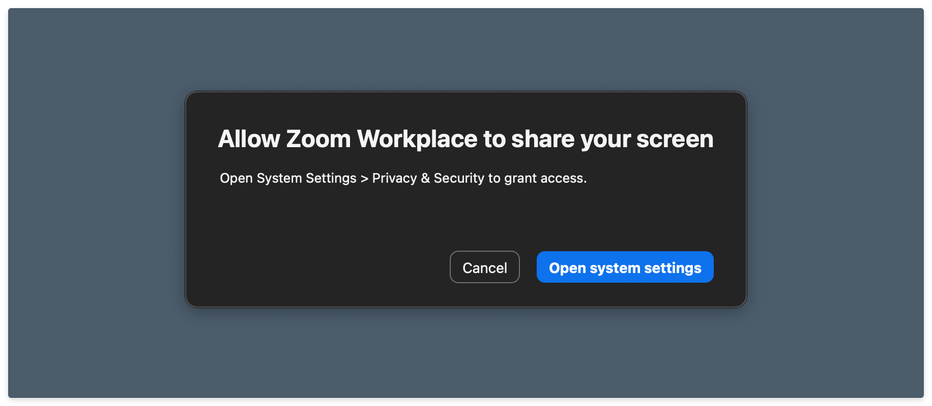 The dialog box asking you to allow Zoom to share your screen.