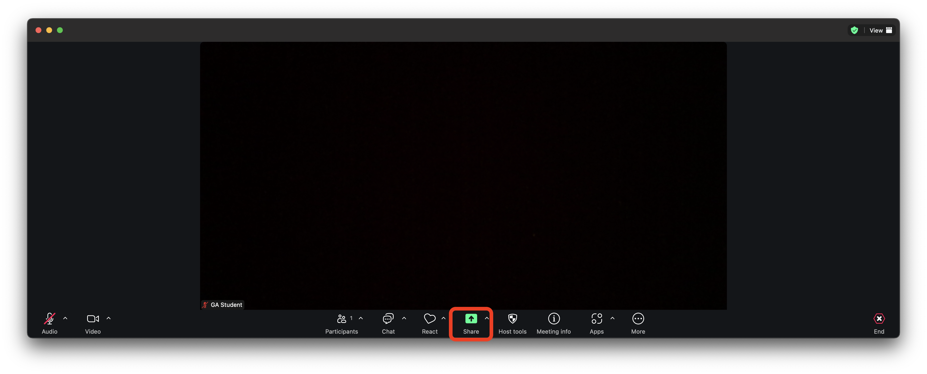 The Zoom meeting window. The Share Screen button is highlighted.