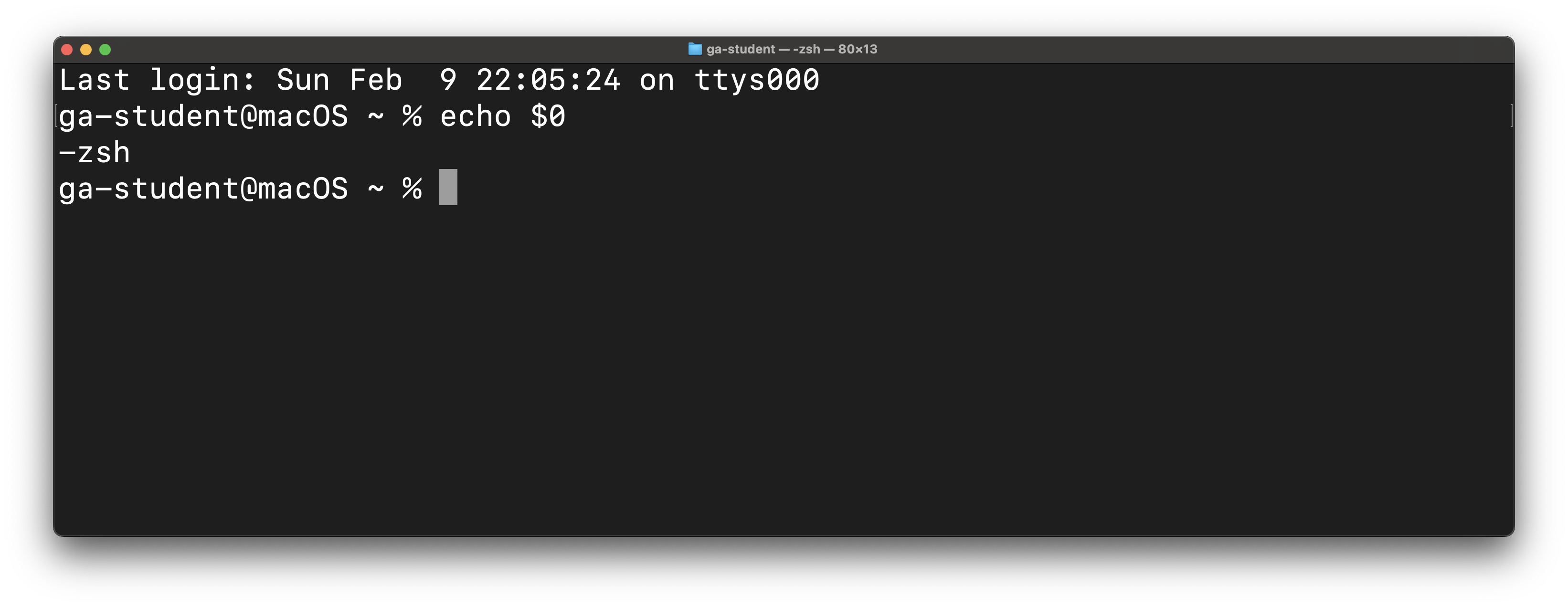 -zsh is shown as the output of this command.