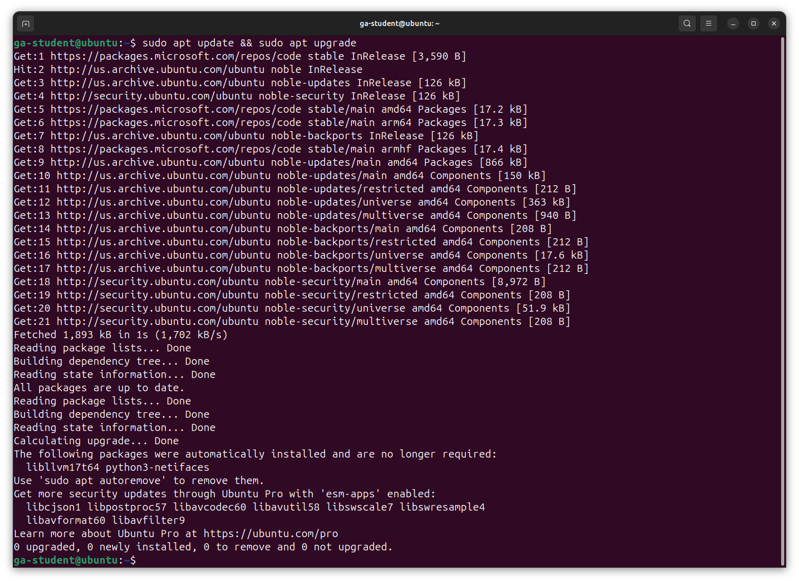 The output of the command to update Ubuntu packages.