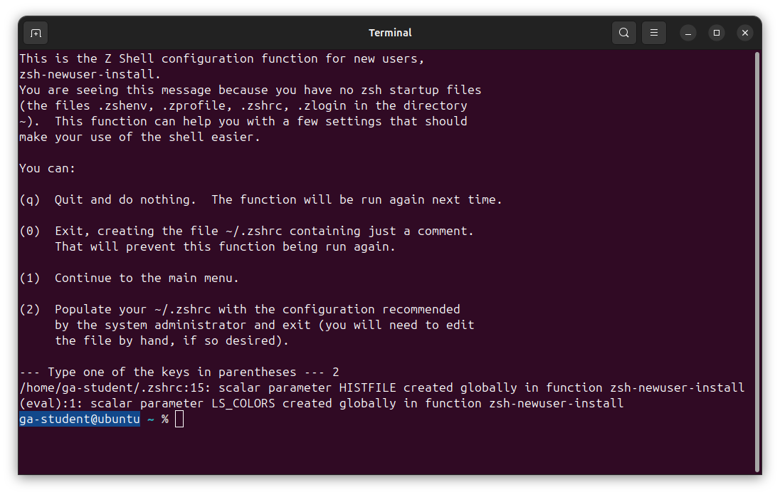 zsh in action!