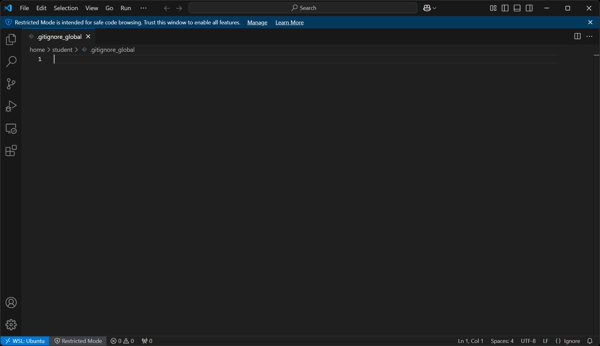 The new .gitignore_global file open in VS Code.