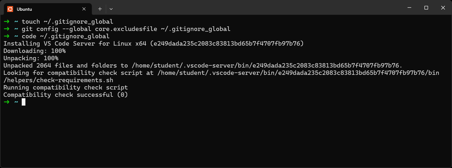 Creating and opening .gitignore_global in VS Code if this is the first time you are running the code command.