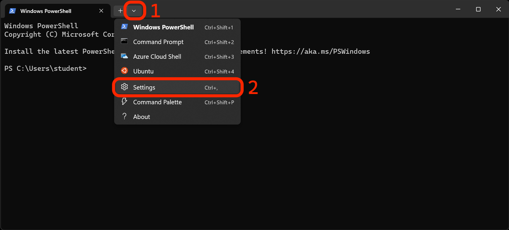 Accessing the Settings tab in Terminal.