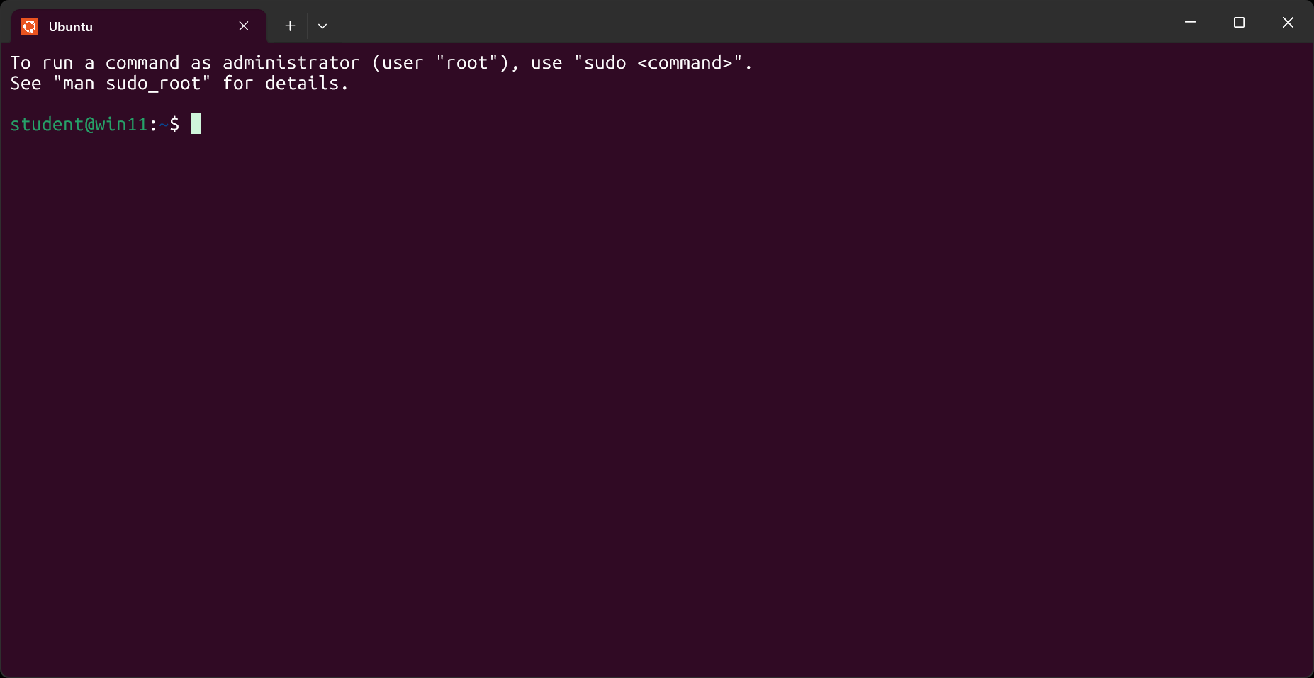 Successfully launching into Ubuntu by default using the terminal.