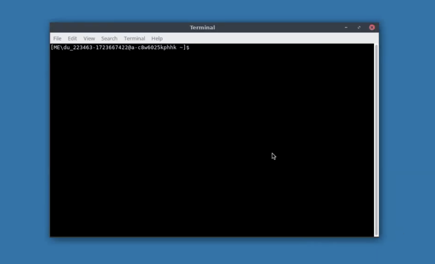 Intro to the Terminal and Bash Scripting