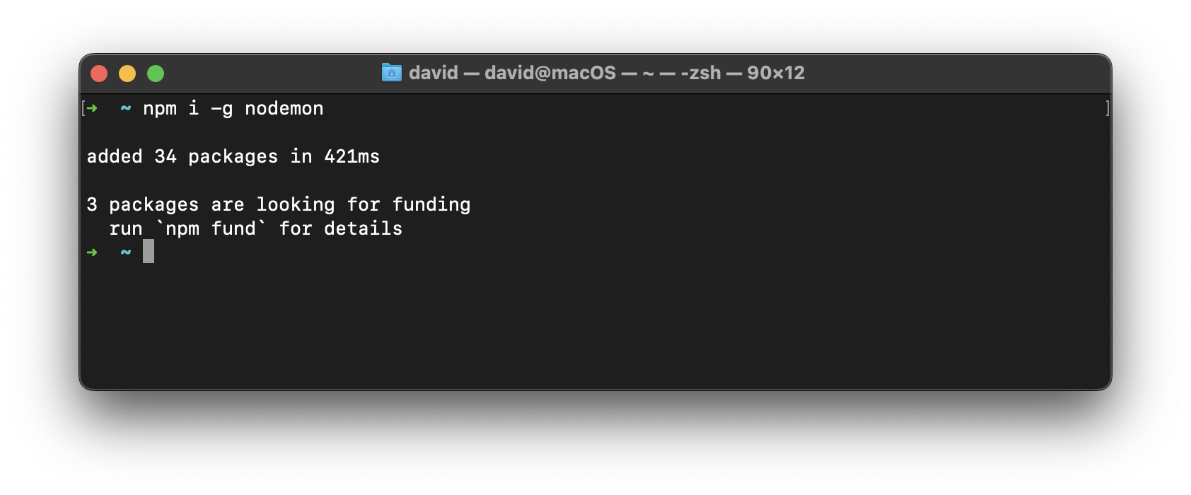 nodemon successfully installed!