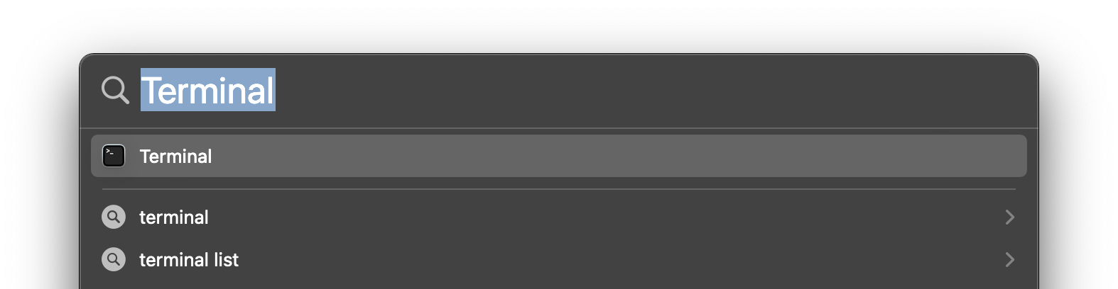 Launching the Terminal application using Spotlight. Get used to seeing this often; it's the fastest way to start applications on the Mac!