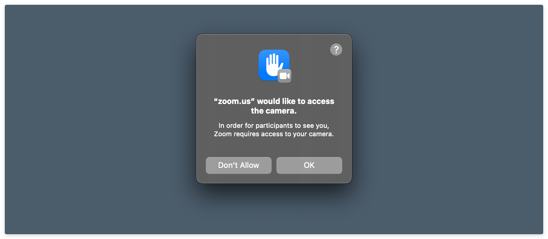 Zoom, prompting for access to your Mac's camera.
