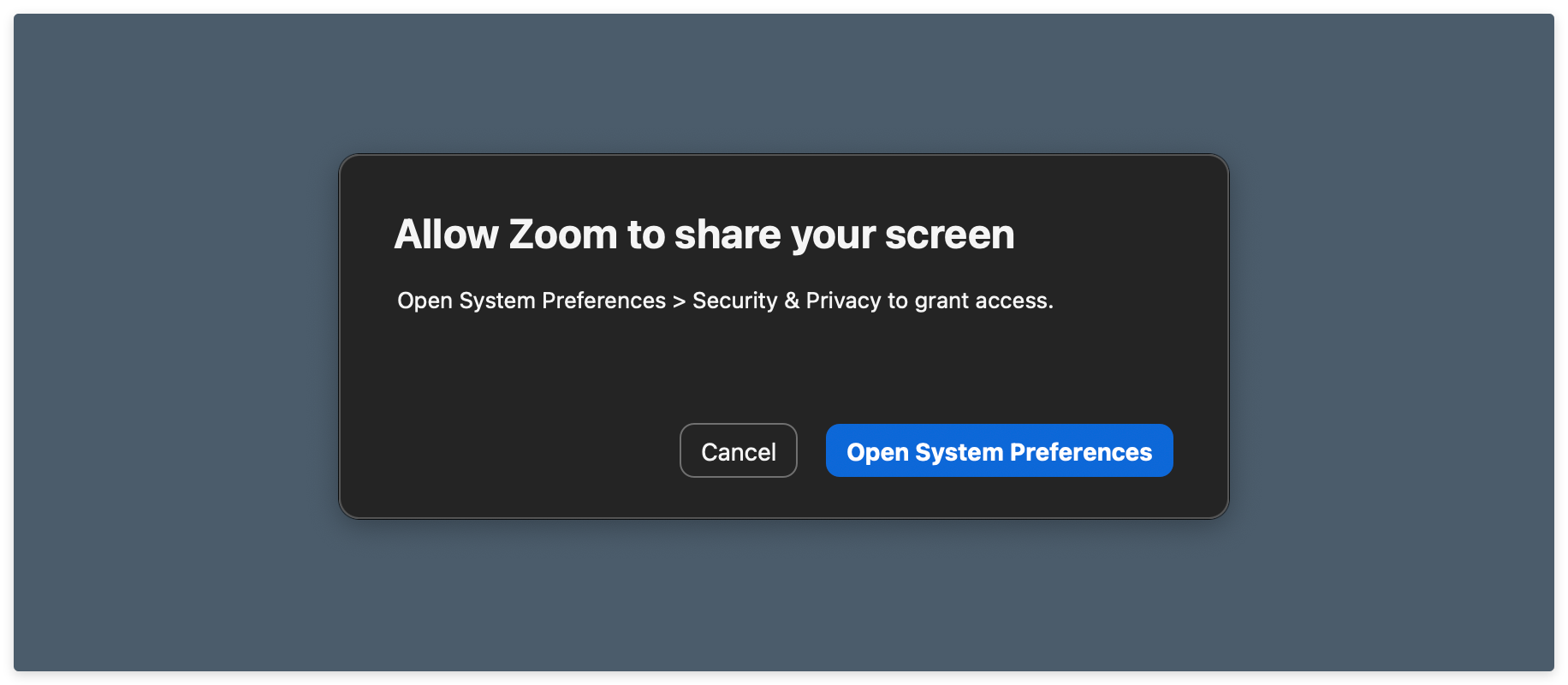 The dialog box asking you to allow Zoom to share your screen.