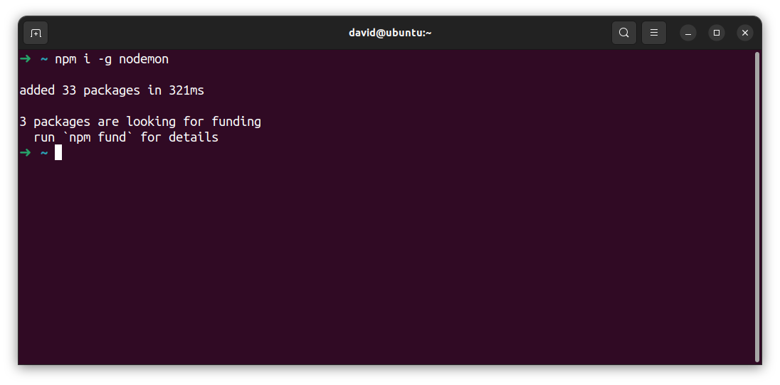 nodemon successfully installed!