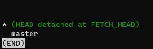 Error message reads: (Head detached at FETCH_HEAD). That can't be good!