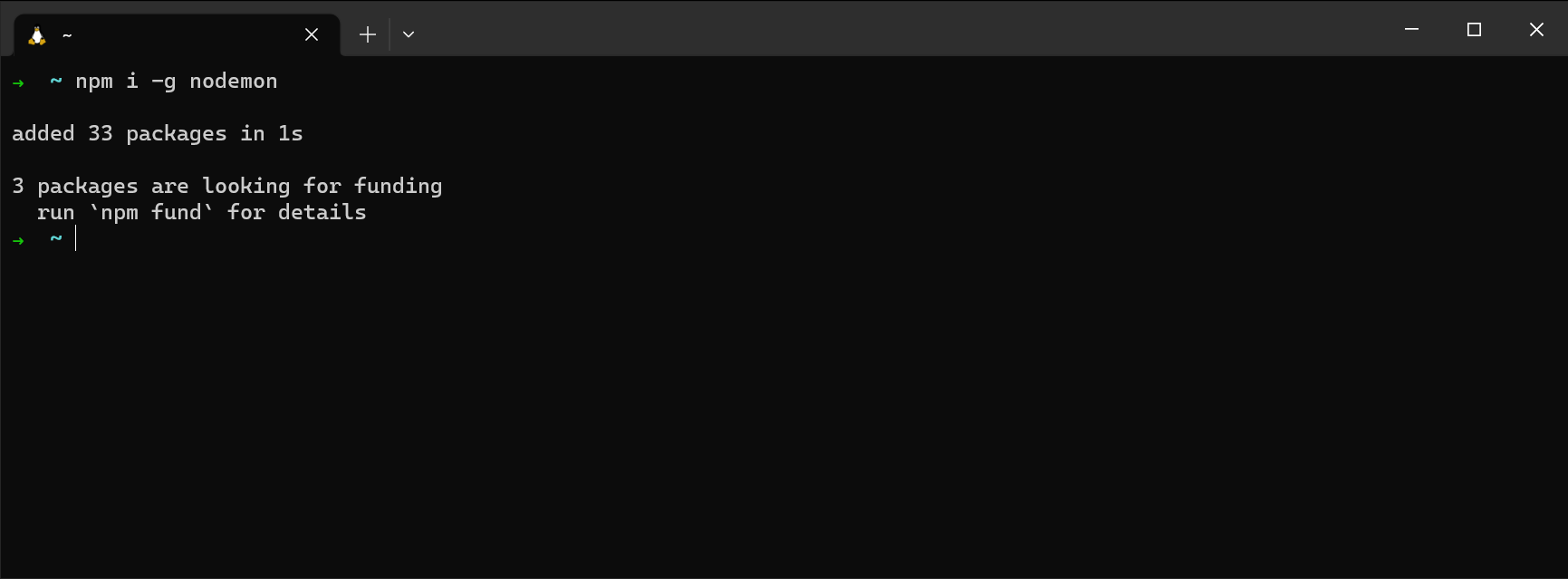 nodemon successfully installed!