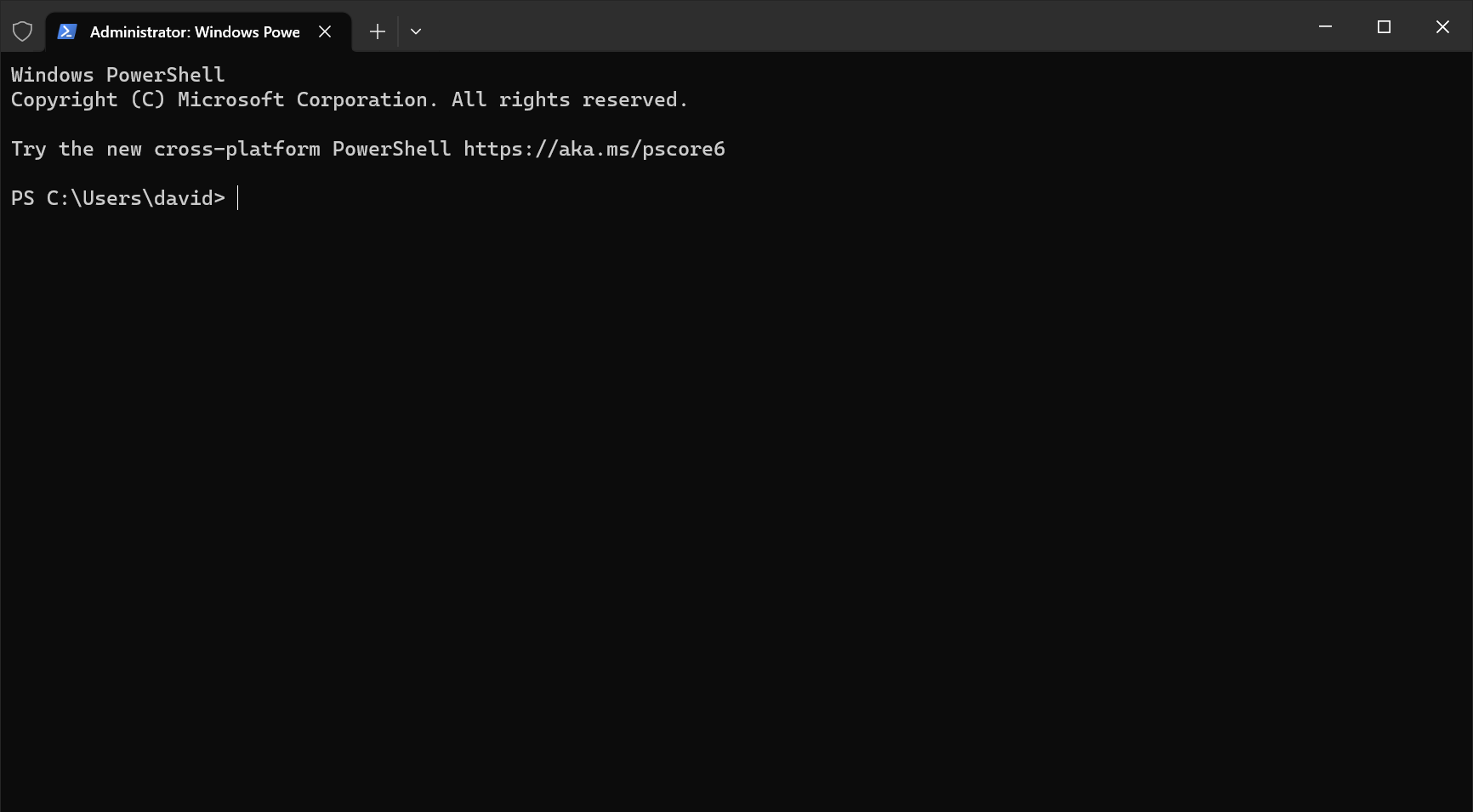 PowerShell running with administrative access in the Windows Terminal. Note the shield in the title bar indicating that PowerShell is running with elevated permissions!