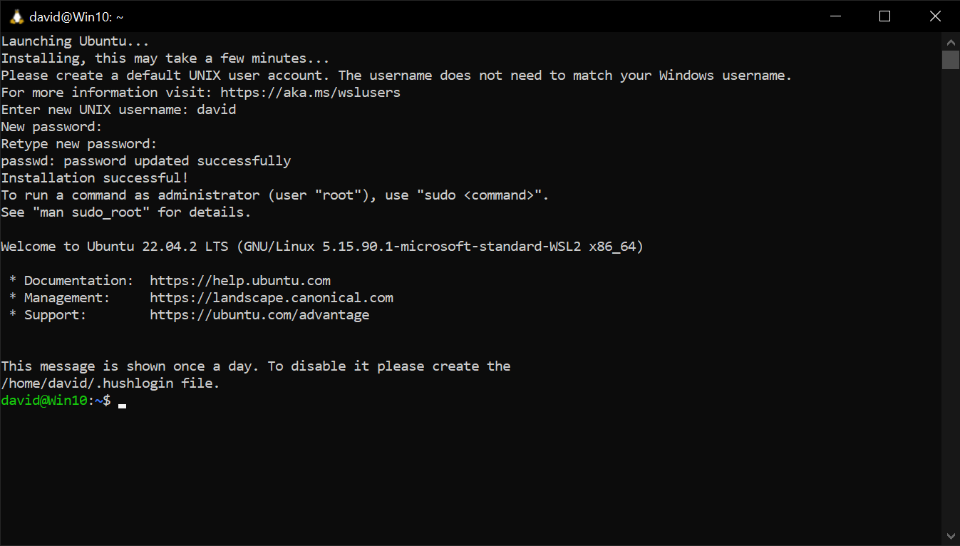 Ubuntu successfully launching with a completed setup for the first time!