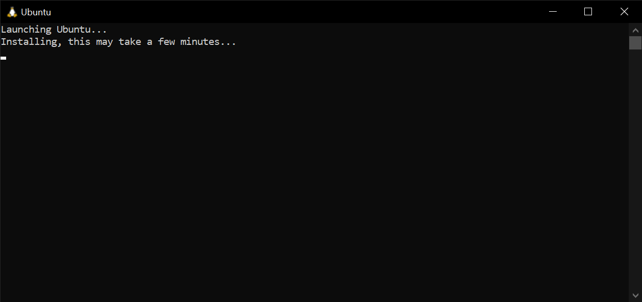 The Ubuntu Installer auto-running after a system restart.