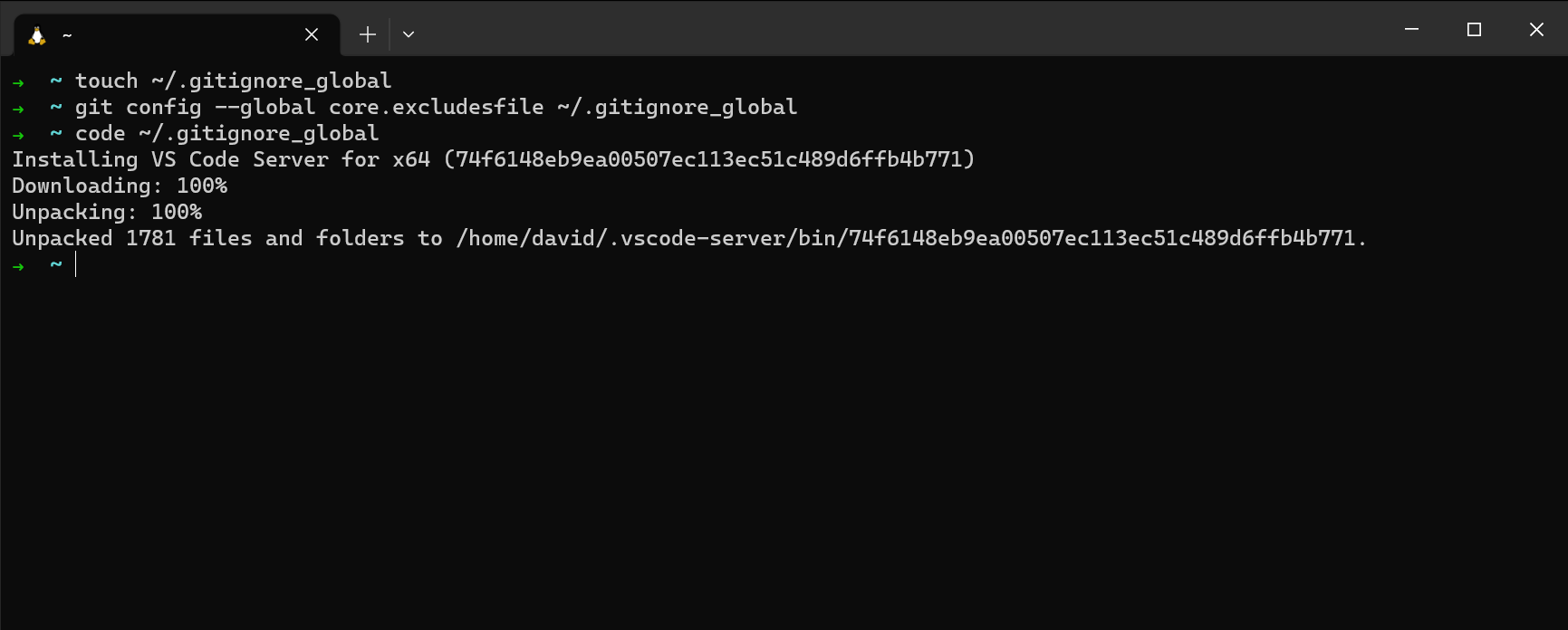 Creating and opening .gitignore_global in VS Code if this is the first time you are running the code command.