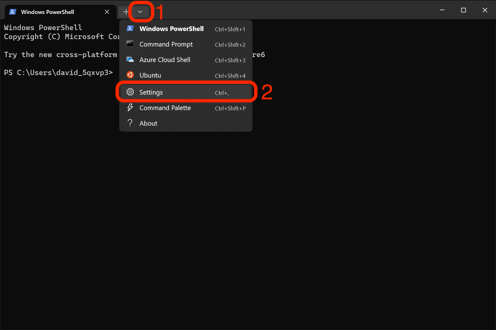 Accessing the Settings tab in Windows Terminal.