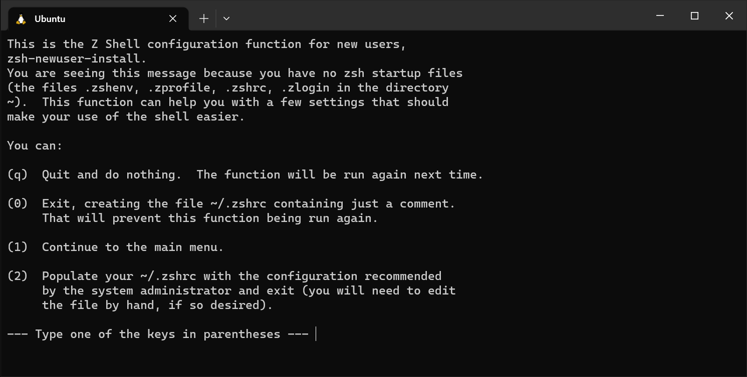 Windows Terminal after launching Zsh for the first time.