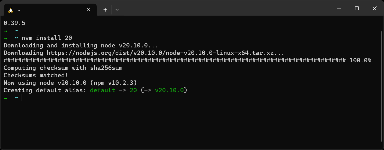 A successful install of node v20.10.0