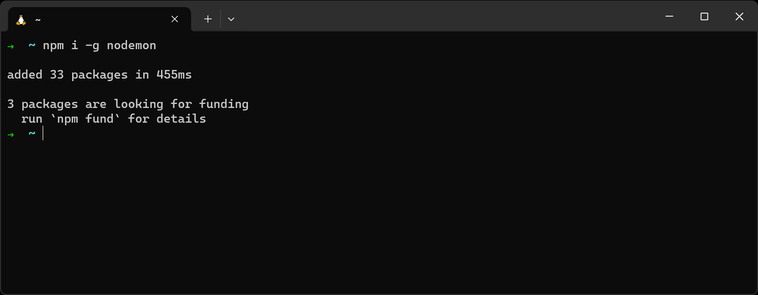 nodemon successfully installed!
