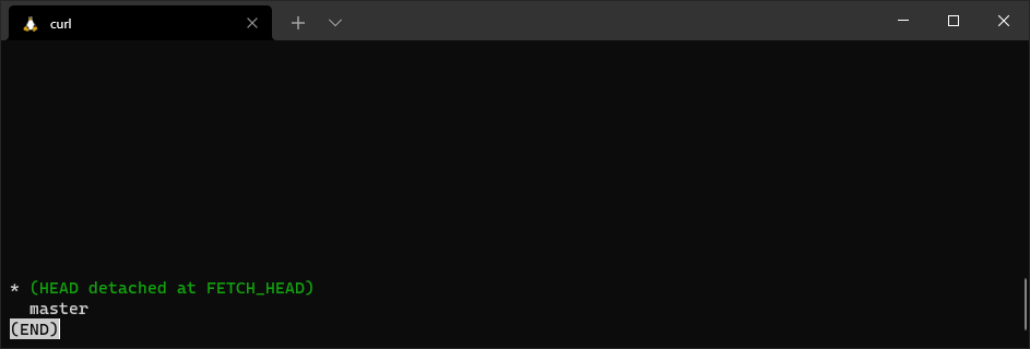 Error message reads: (Head detached at FETCH_HEAD). That can't be good!