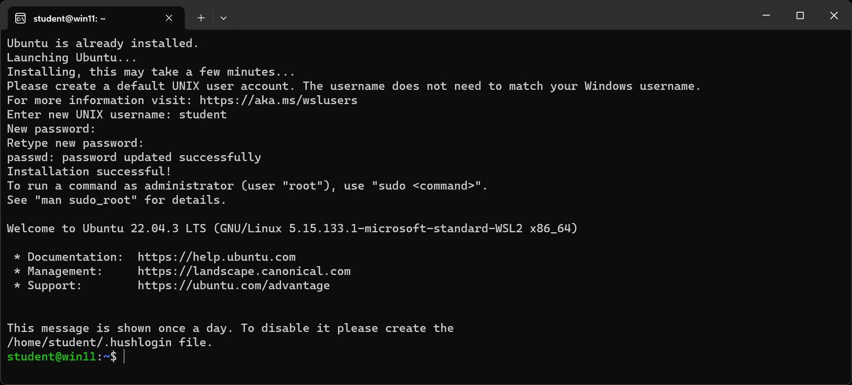 Ubuntu successfully launching with a completed setup for the first time!
