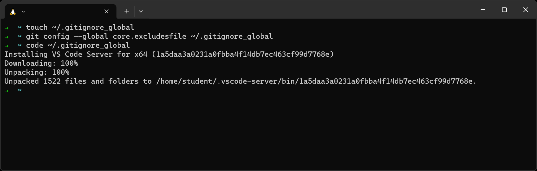 Creating and opening .gitignore_global in VS Code if this is the first time you are running the code command.