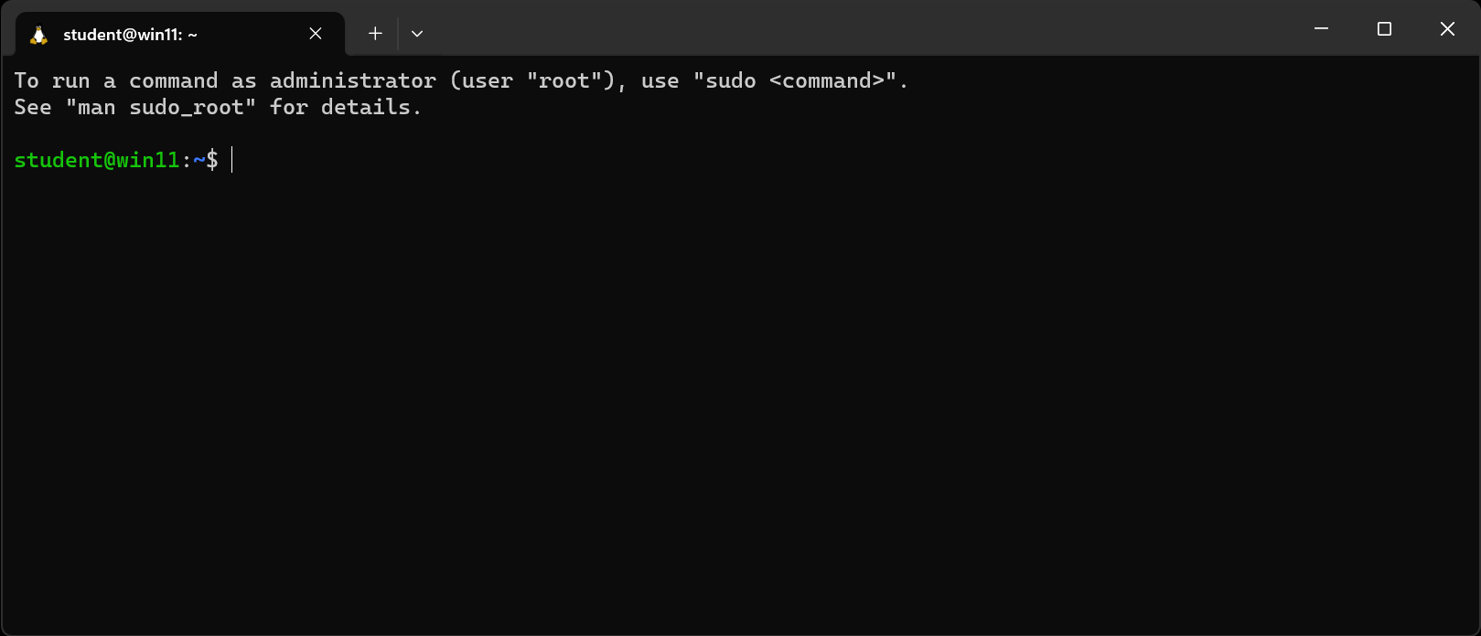 Successfully launching into Ubuntu by default using the terminal.